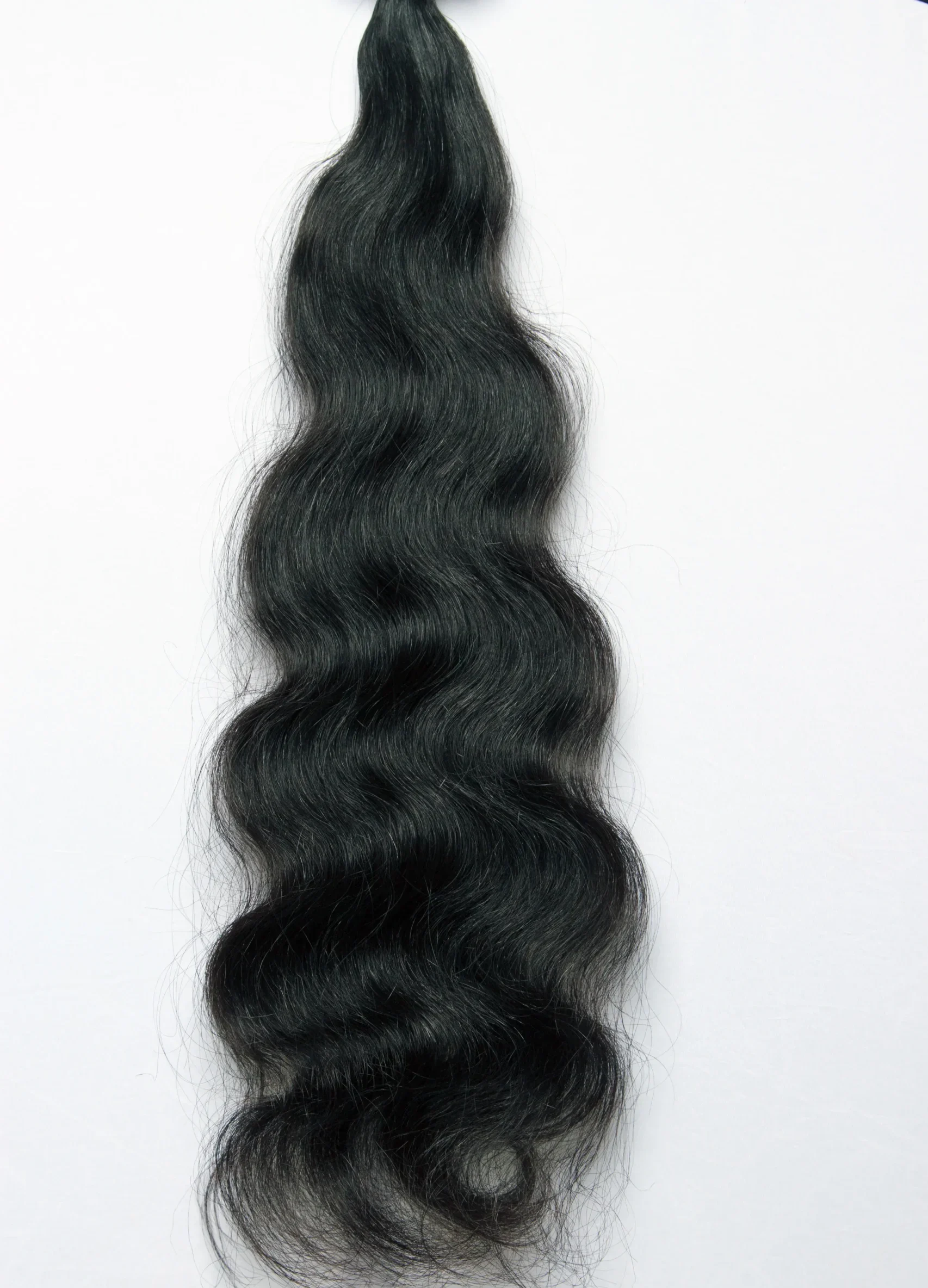 Body Wave : PBM